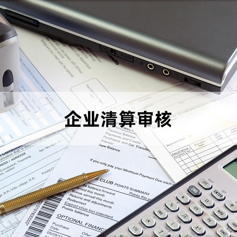 企業(yè)清算審核