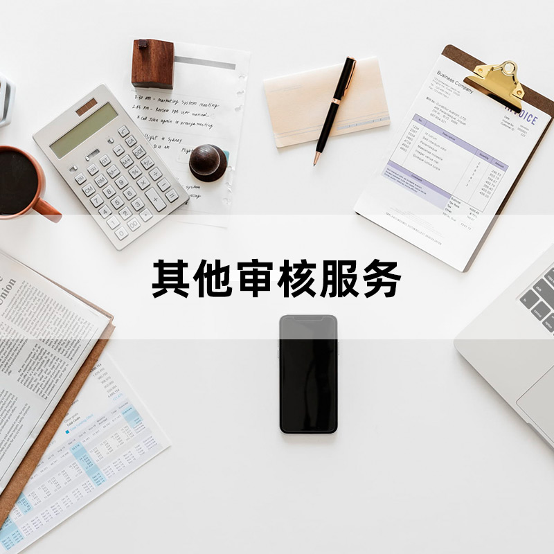 其他審核服務(wù)