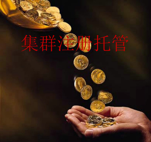 集群注冊托管合作企業(yè)